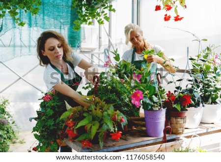 Working in flower shop