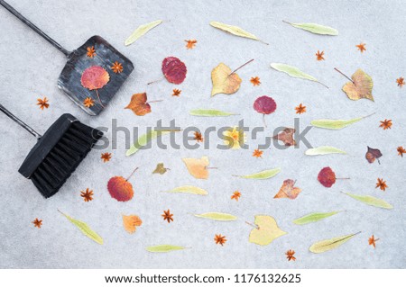 Sweeping away autumn leaves and dry flowers in the garden patio, with brush and dustpan, on concrete floor background. Weather and change of seasons flat lay.