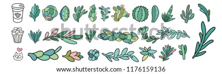 Cacti and succulents vector drawing. Tropical desert plants image.