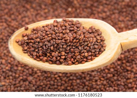 Red quinoa seeds on a wooden spoon seen obliquely from above on a blurred quinoa seed background