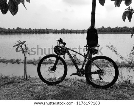 A bicycle leaning against the tree with lake background. black and white picture
