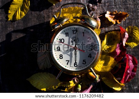 Old alarm clock between yellow and red autumn leaves in the nature and autumn season sun light