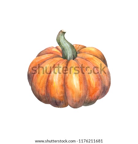 Watercolor pumpkin. Hand-painted.
