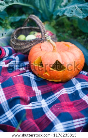 pumpkin for Halloween on red plaid