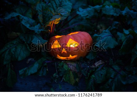 shining pumpkin in the dark for Halloween