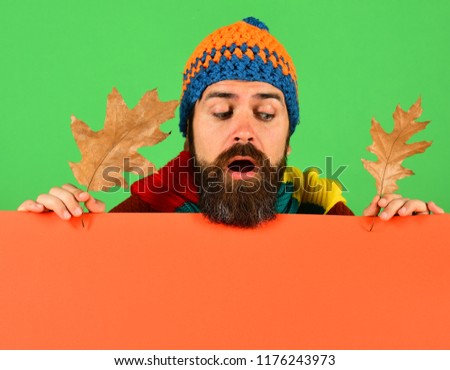 Hipster with beard and curious face looks down. October and November time idea. Man in warm hat holds oak tree leaves on green and orange background, copy space. Autumn and cold weather concept