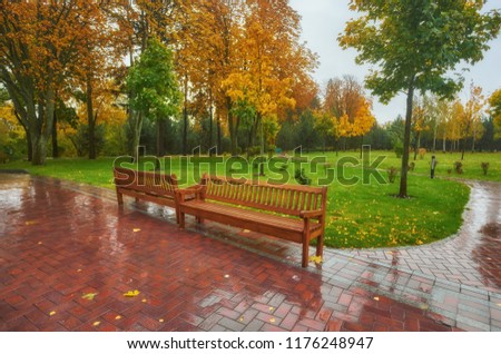 old wooden bench in city park. natural vintage autumn background