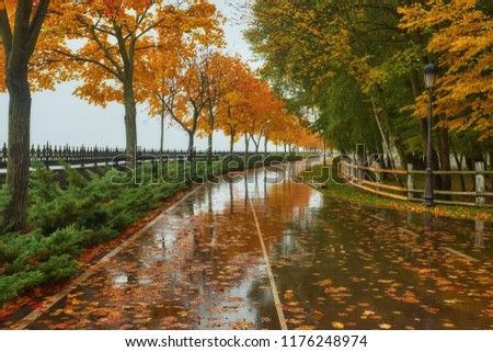 autumn park, rainy background, autumn landscape background rain texture in an October park, walk in bad weather, drops of water, windy weather, bad weather, sad mood Royalty-Free Stock Photo #1176248974