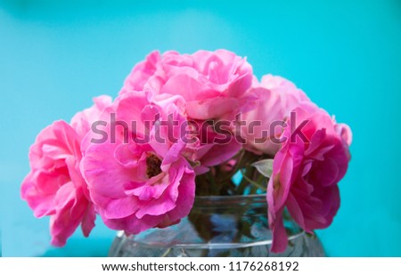 bouquet of garden pink roses and on a blue background a picture of love