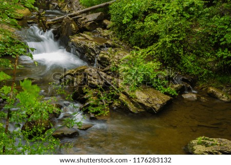 Stream And Waterfalls Flowing Through Lush Green, Ancient Temperate Forest In Pennsylvania