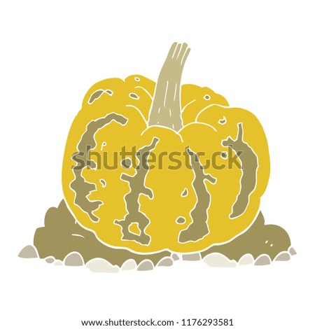 flat color illustration of squash