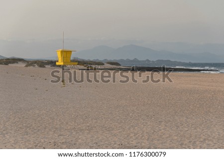 wooden beach guard post in sand beach on the Atlantic ocean canary island of fuerteventura
