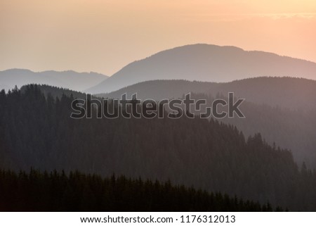 Mountain Panoramic Landscape. Forest Mountain Range Scene at Sunrise.
