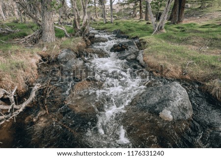 Spring Creek in Mongolia . Altay mountains