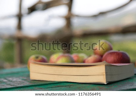 book and apples on the green wooden table at the garden.back to school concept for education.read book everywhere.