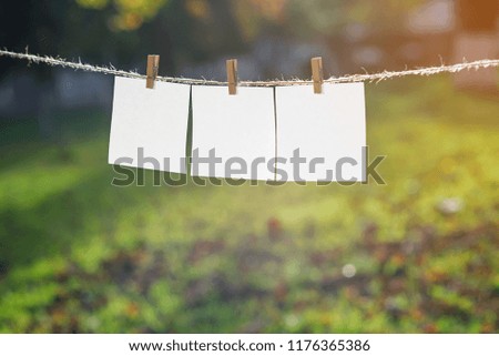 Close up of three white note papers hung by wooden clothes pegs on the background of park.