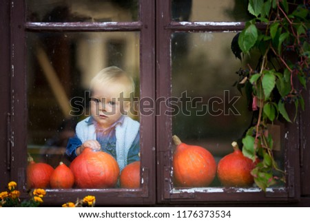 Halloween theme picture of cute cheerful kid looking on the window. Beautiful toddler boy in the house decorated to Halloween