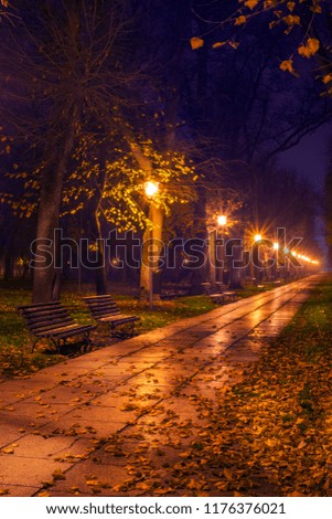 Alley in Carol park in the night covered in leaves in the autumn