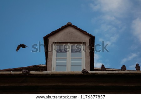 Birds fly away from a roof of the ancient house, in the middle a window, behind the blue sky