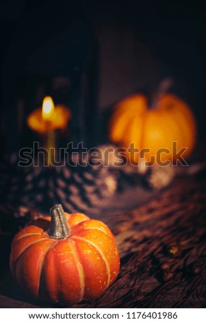 Halloween concept picture with pumpkin, vintage filter image
