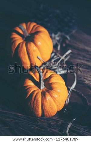 Halloween concept picture with pumpkin, vintage filter image