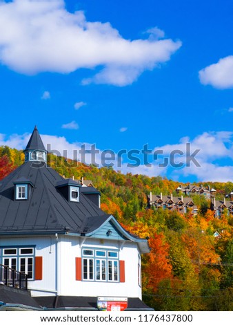 This is a picture of autumn leaves at Mont-Tremblant in the Laurentian plateau in Quebec, Canada. It is a scenery from Mont-Tremblant mountain. It is very beautiful with red and orange.	