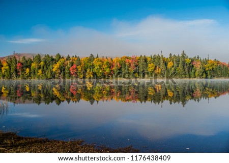 This is a picture of autumn leaves seen from the National Park "Mont-Tremblant" in the Laurentian Plateau in Quebec, Canada. I am watching the Mont-Tremblant Plateau from the lake.