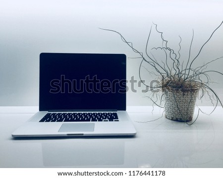 Green long leaves and straw plant in a pot vase lie near computer with black screen on a white clear minimalist modern desk table, front view