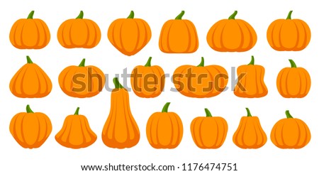 Pumpkin flat icons set. Sign kit of halloween. Thanksgiving pictogram collection farm harvest, closeup squash, vegetable. Simple pumpkin cartoon colorful icon symbol isolated white Vector Illustration Royalty-Free Stock Photo #1176474751