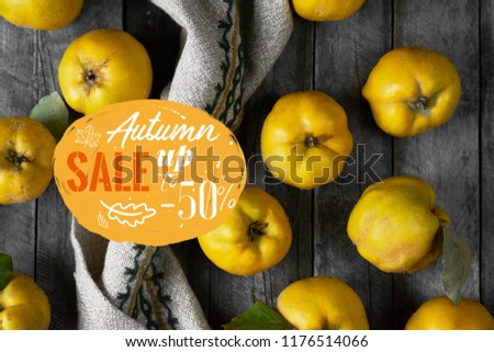 A lot of apple quince  on dark wooden background.