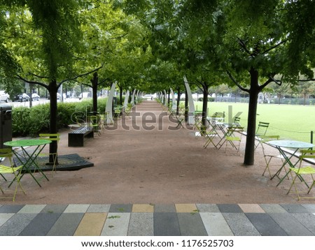 Beautiful City Park