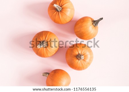 Autumn composition. Pumpkins on pastel pink background. Autumn, fall, halloween concept. Flat lay, top view, square