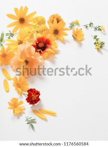 the yellow and orange flowers on white background