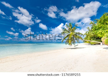 Maldives beach scene. Tropical landscape, exotic luxury vacation, holiday destination. Beautiful beach with palm trees and moody sky.