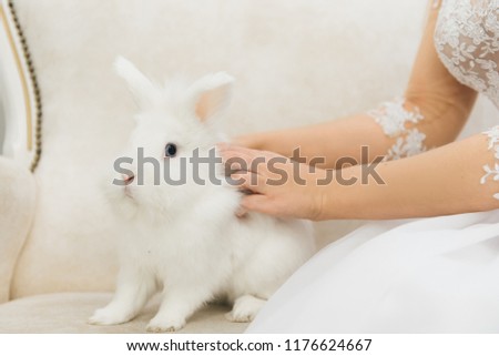Cute white rabbit sitting next to the bride. Morning of wedding day