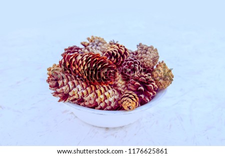 Fir-tree and pine cones decorated with golden paints in a white cup. Vintage Christmas decor.