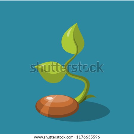 Seed icons vector.