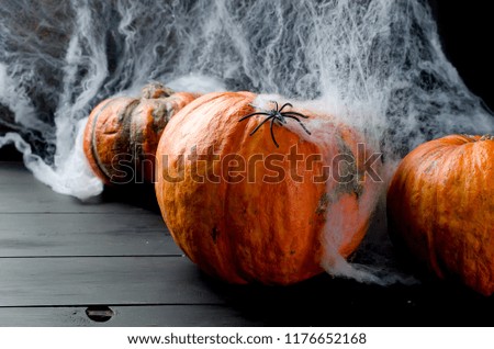Halloween decorations,pumpkins, spider and cobweb on black background, autumn holidays concept, copy space
