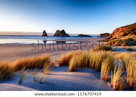 Explore the wild and rugged northern most point of the South Island, New Zealand. Wharariki Beach is a beautiful tourist attraction and destination. The image is peaceful, breathtaking and amazing. Royalty-Free Stock Photo #1176707419