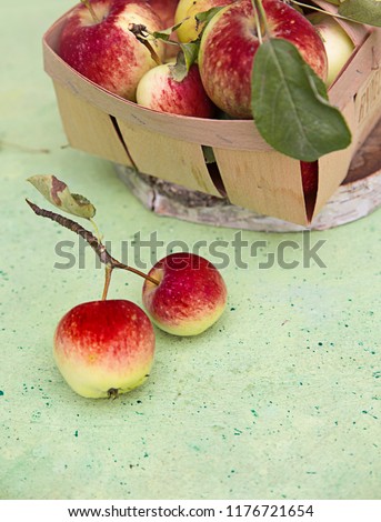 composition with fresh garden apples
