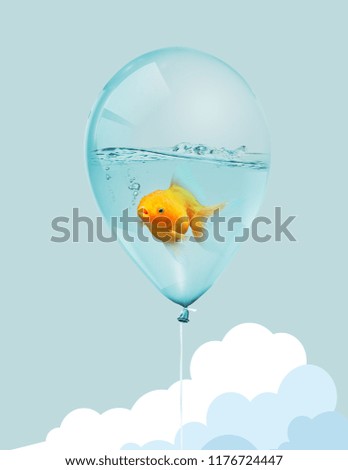 Goldfish fly in balloon . Mixed media, Gold fish swimming in blue balloons on blue sky with cloud background