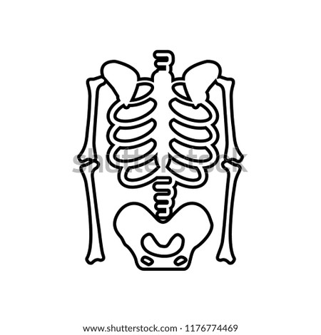 bones skeleton medic  