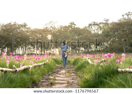 Young woman enjoying walking of pink flower field in Thailand, Krachiew Flower.