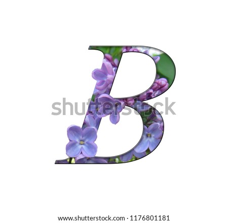 Flower purple pop-up alphabet, abc letters real alive plant, decorate in summer or spring any your idea.Font or consonant form flora.letter b.