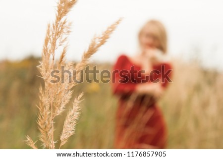 Picture of gorgeous young woman standing in the field. Romantic blonde woman walking in amazing field. Red dress. 