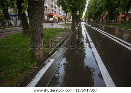 cloudy weather, freshness and coolness in the air after the rain, wet in puddles after a watering machine or a shower bicycle asphalt track with white markings for pedestrians
