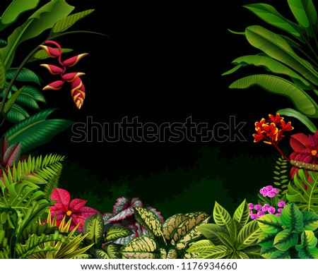 vector illustration of the black background with the nature accent