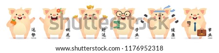 2019 Chinese new year - Year of the Pig. Set of cute cartoon pig in different pose isolated on white background. (Caption: fortune, love, wealth, study, health and career)