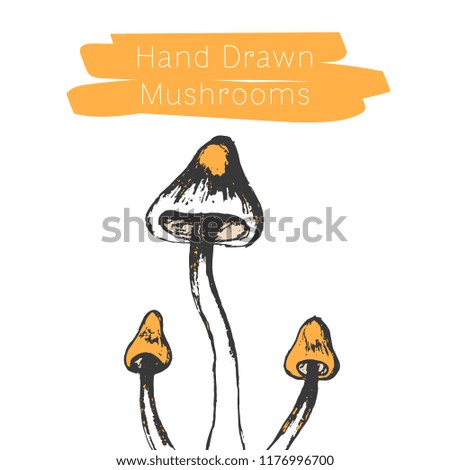 Hand drawn mushrooms. Vector illsutration. Vector mushroom.