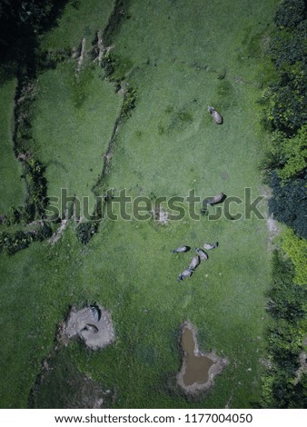 Taiwan nature drone pictures 